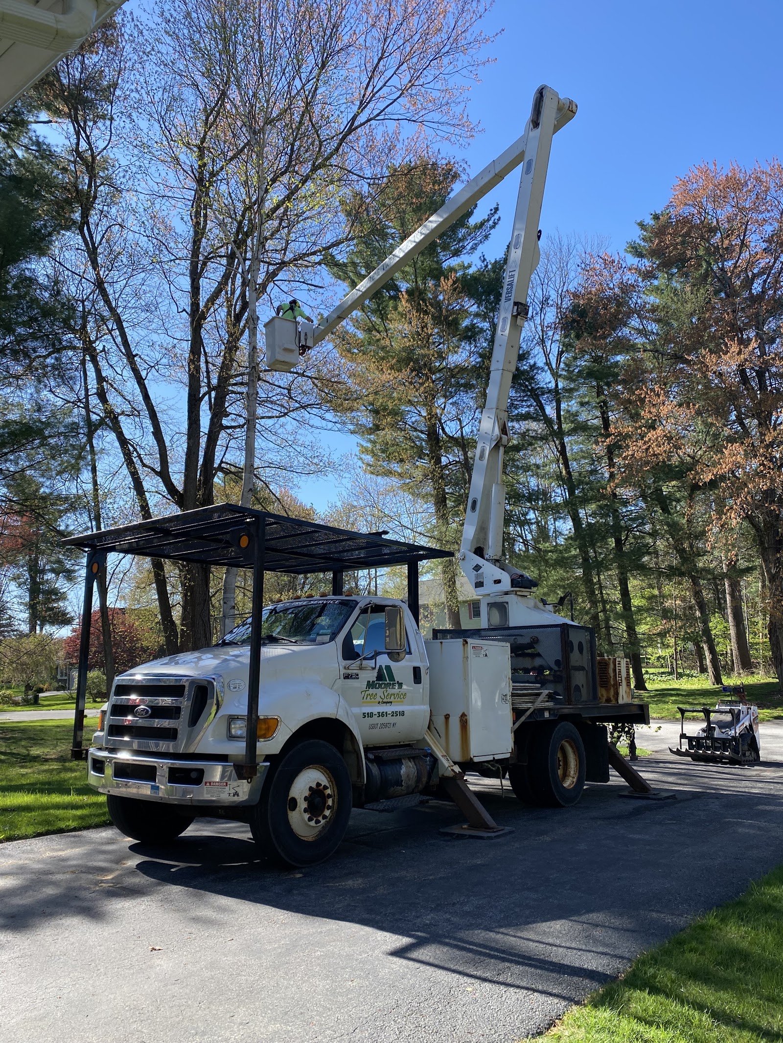 Moore's Tree Service & Company — photo 2