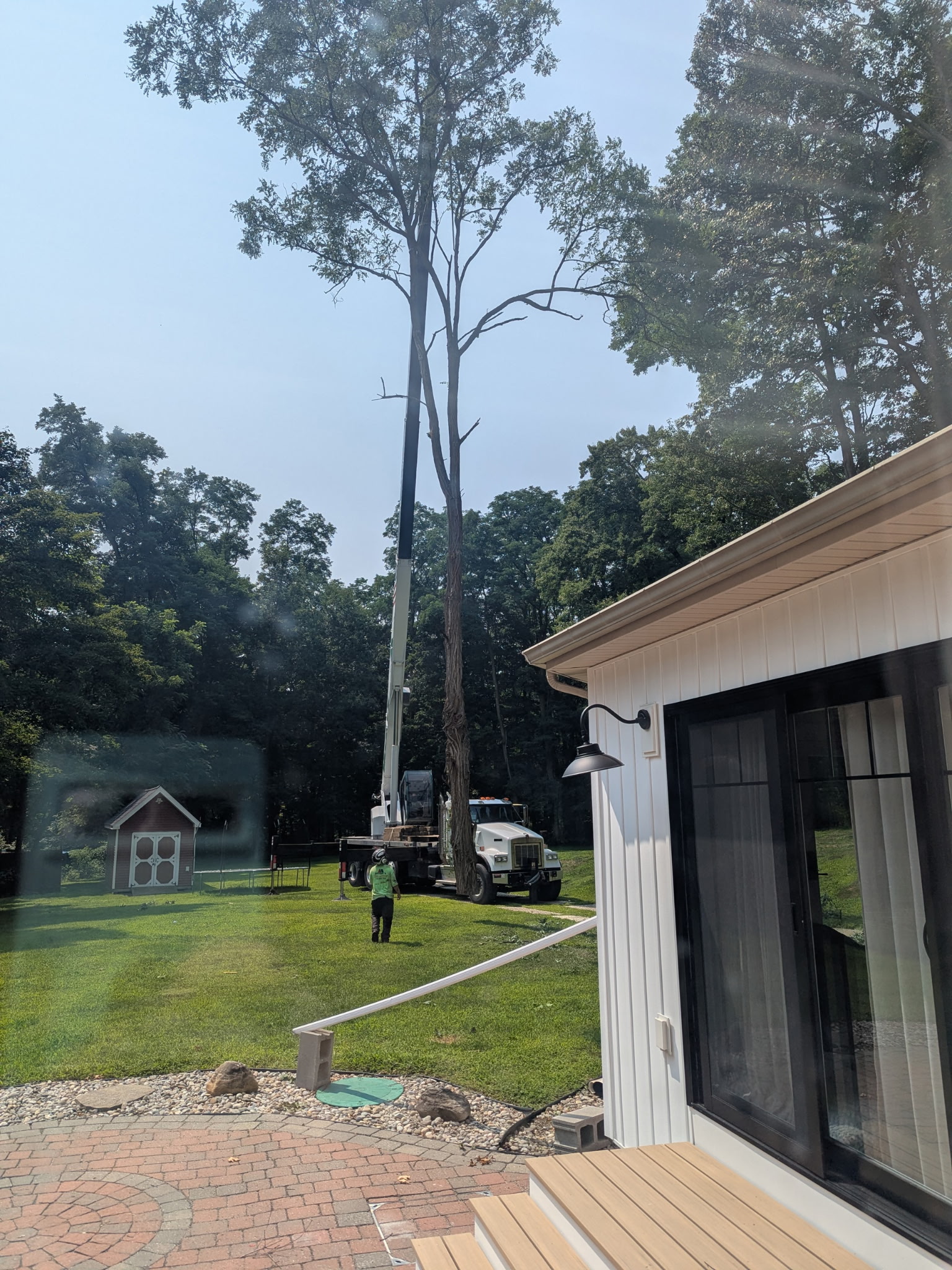 Moore's Tree Service & Company — photo 3