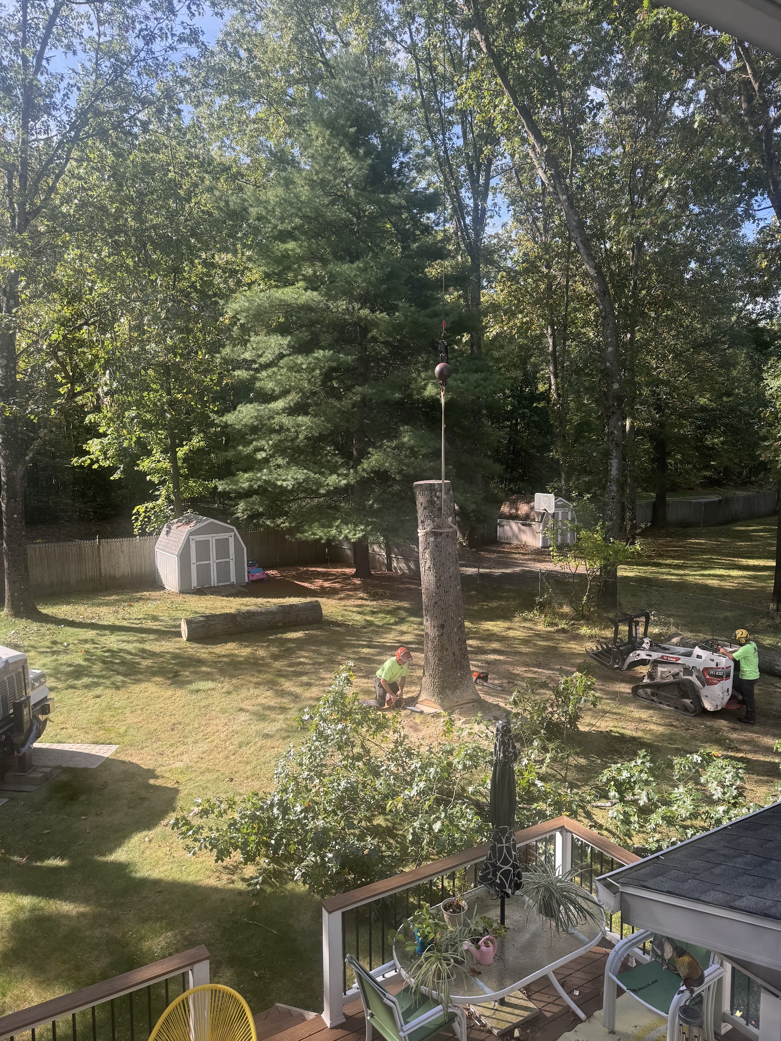 Moore's Tree Service & Company — photo 5